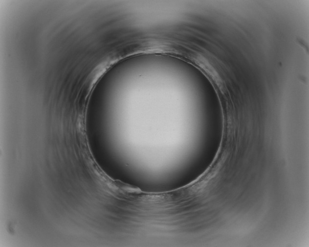 X0000098211481200804241309