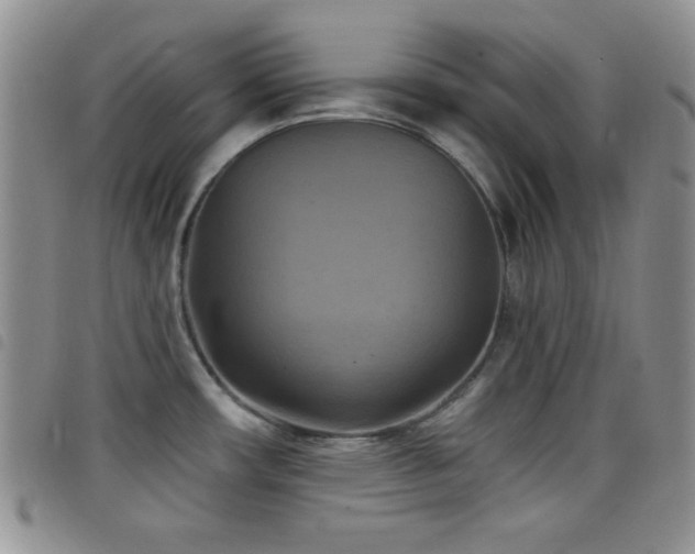 X0000098211482200804241309