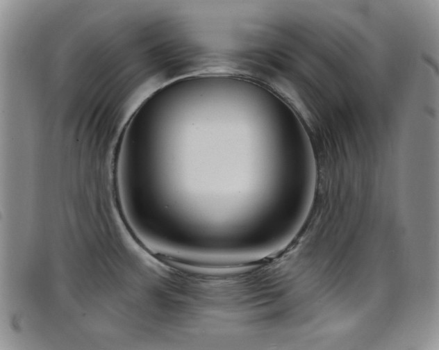 X0000098211483200804241309