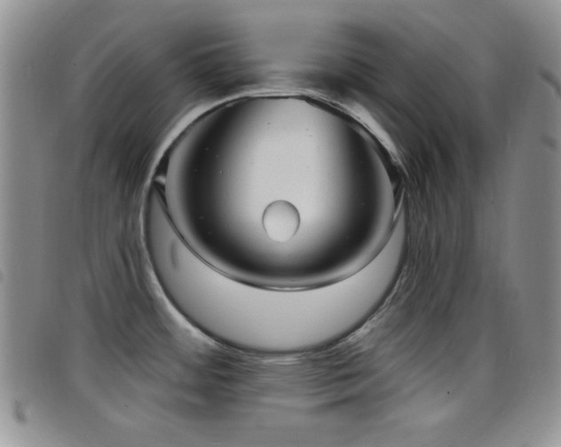 X0000098211484200804241309