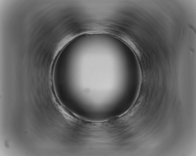 X0000098211485200804241309