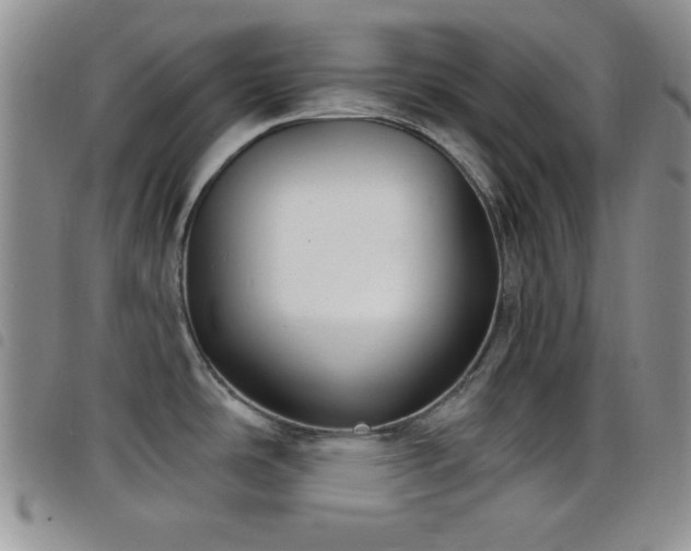 X0000098211486200804241309