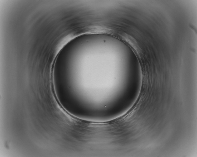 X0000098211487200804241309