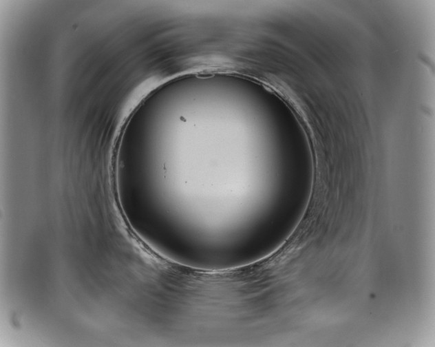 X0000098211488200804241309