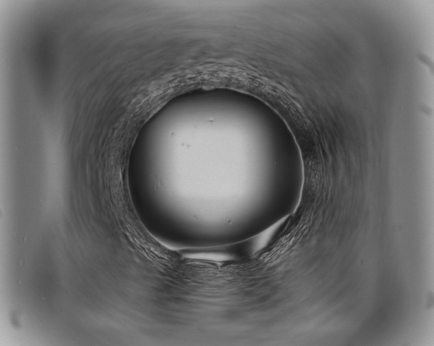 X0000098211489200804241308