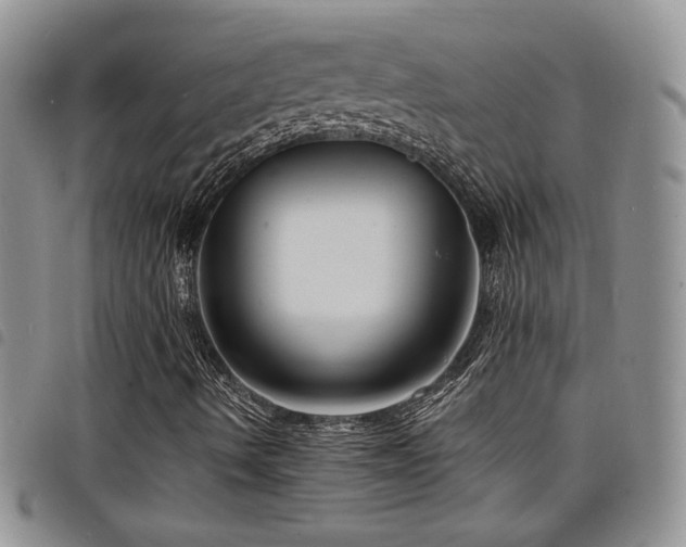 X0000098211490200804241308