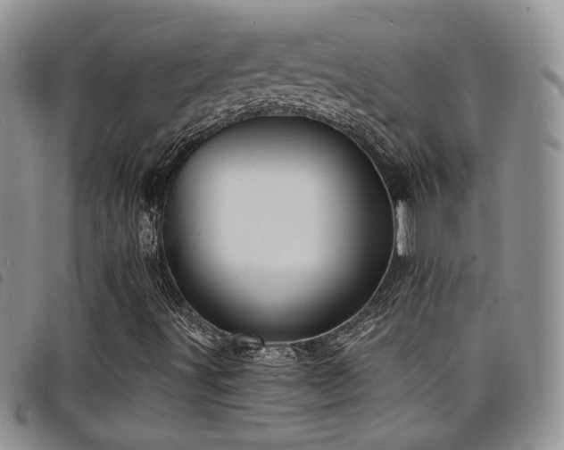 X0000098211491200804241308