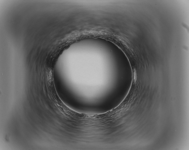 X0000098211492200804241308