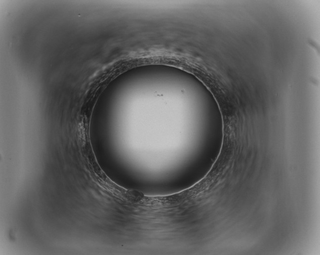 X0000098211493200804241308