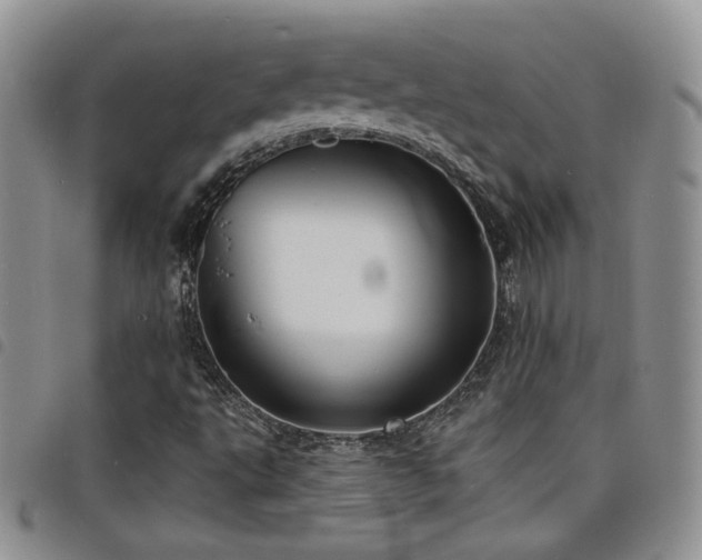 X0000098211495200804241308