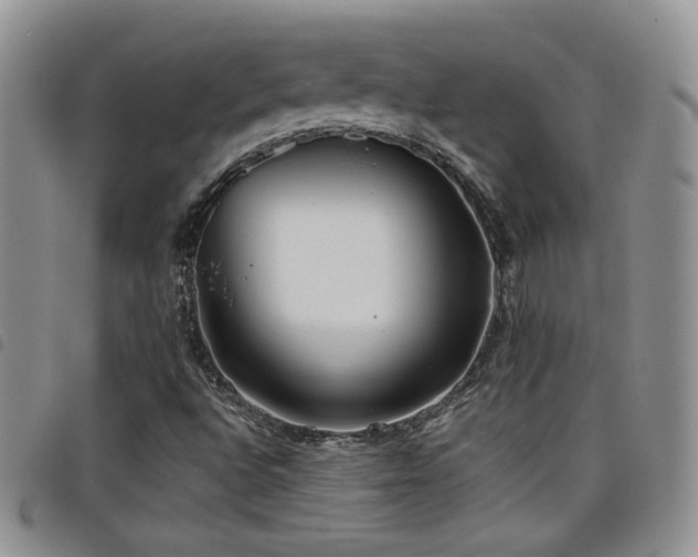 X0000098211496200804241308