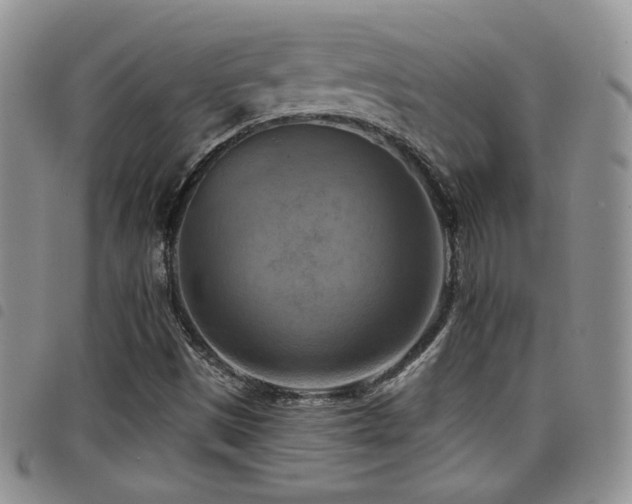 X0000098211497200804241308
