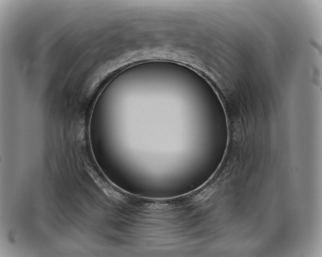 X0000098211499200804241308