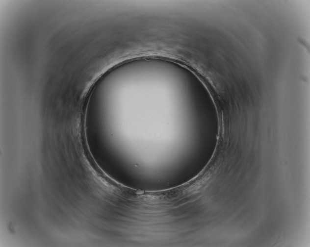 X0000098211500200804241308