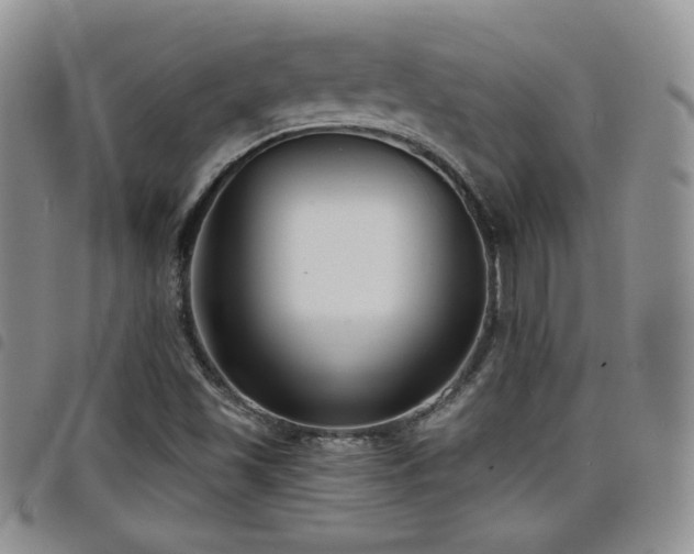 X0000098211501200804241308