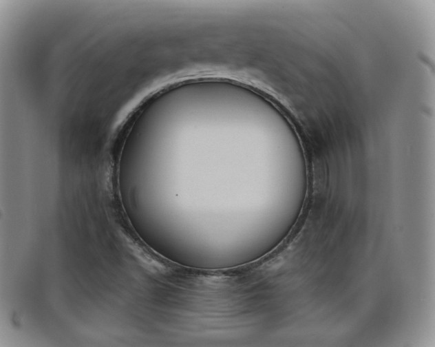 X0000098211502200804241308