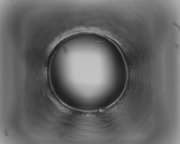 X0000098211503200804241308