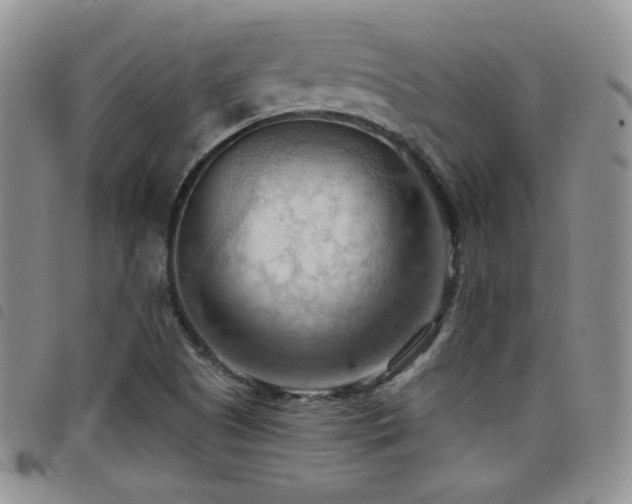 X0000098211505200804241308