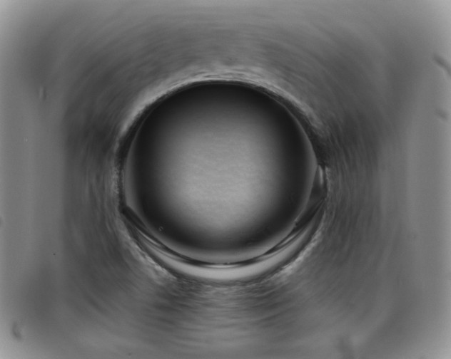 X0000098211506200804241308