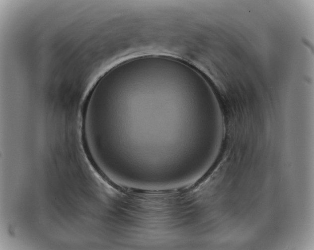 X0000098211508200804241308