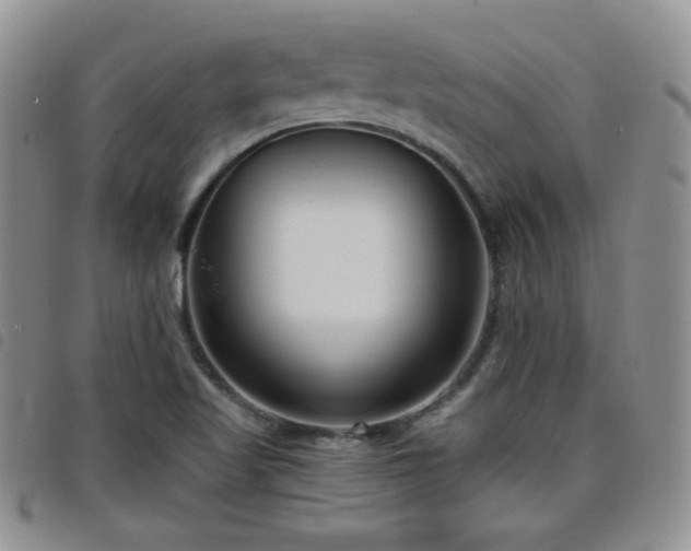 X0000098211509200804241308