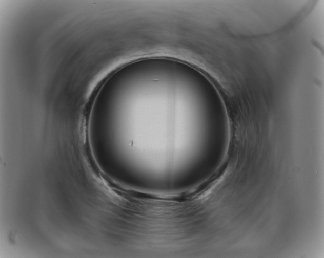 X0000098211510200804241308