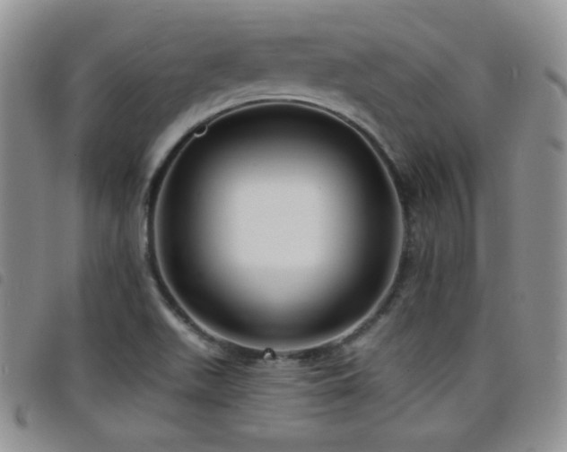 X0000098211511200804241308