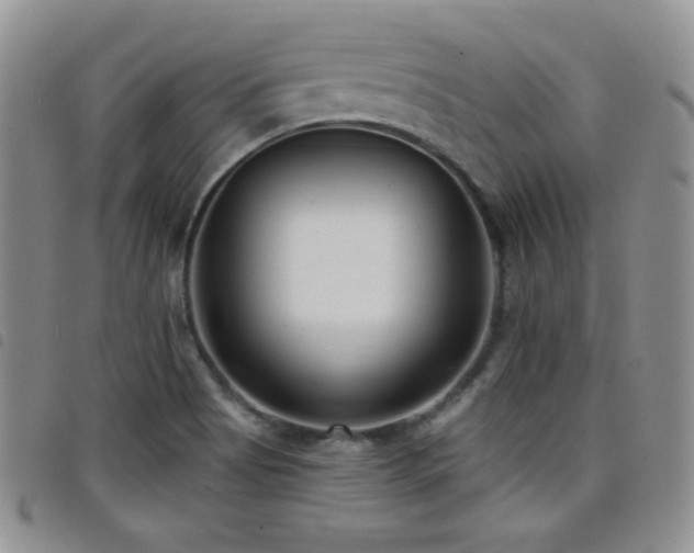 X0000098211513200804241309