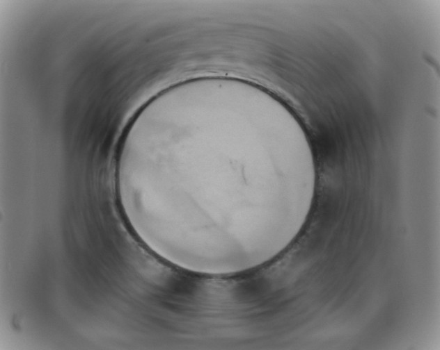X0000098211514200804241309