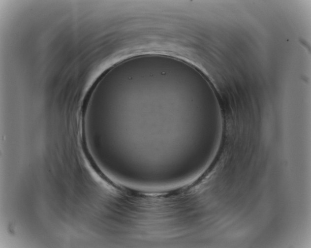 X0000098211515200804241309