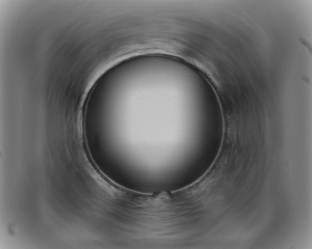 X0000098211516200804241309