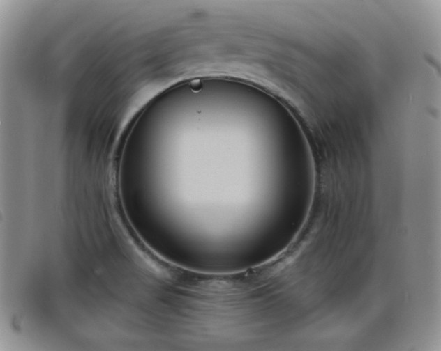 X0000098211517200804241309
