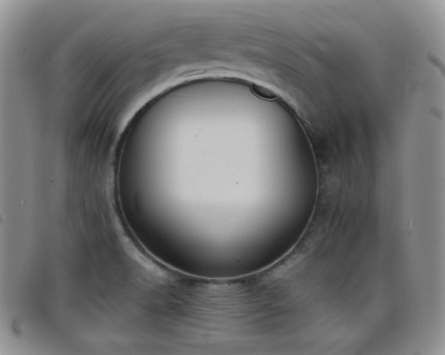 X0000098211518200804241309