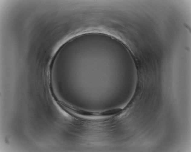 X0000098211519200804241309