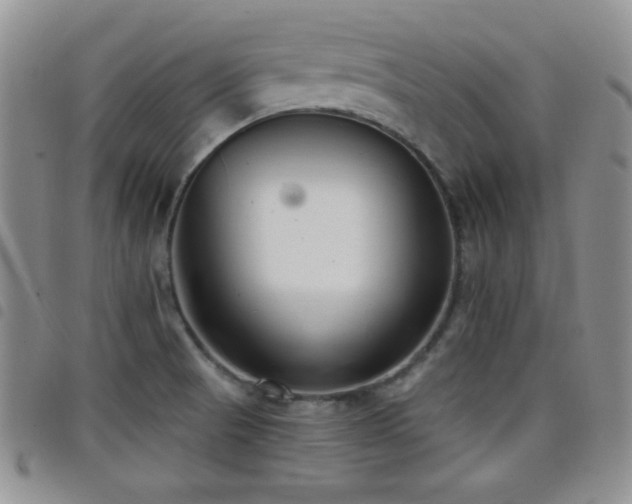 X0000098211521200804241309