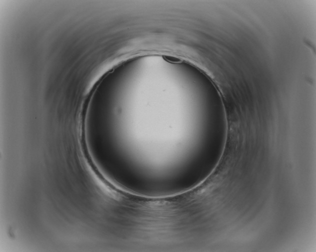 X0000098211523200804241309