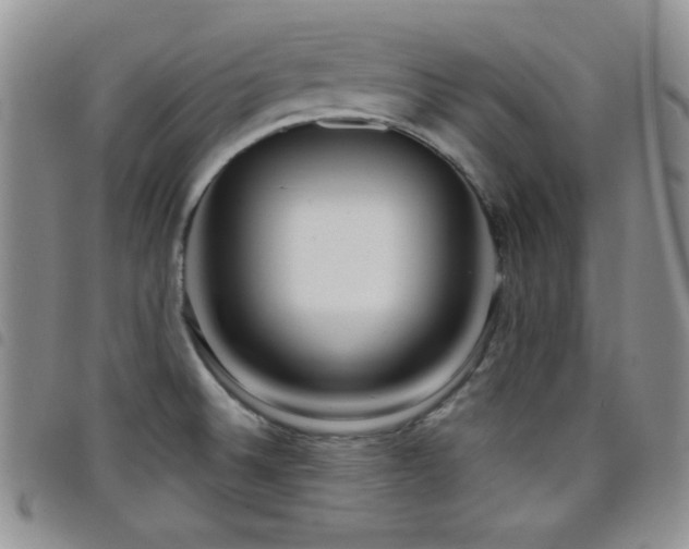 X0000098211524200804241309
