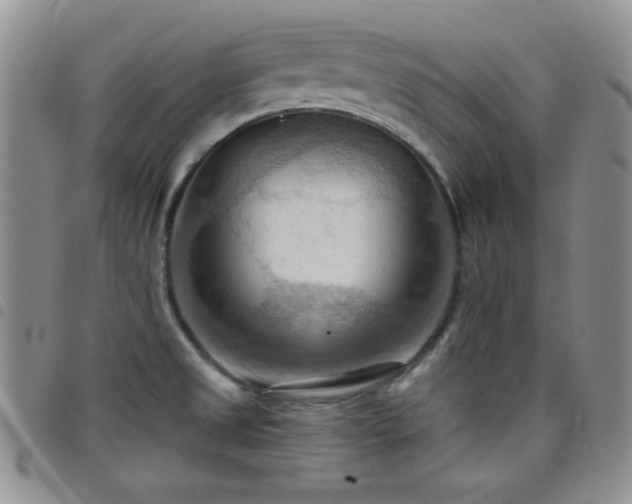 X0000098211525200804241309