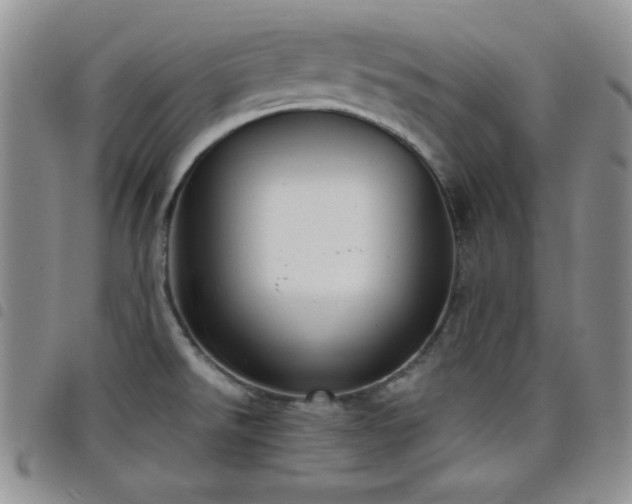 X0000098211526200804241309