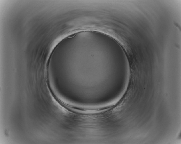 X0000098211527200804241309