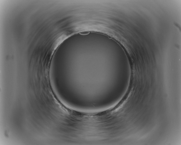 X0000098211529200804241309