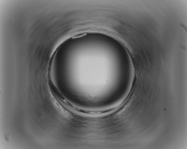 X0000098211530200804241309