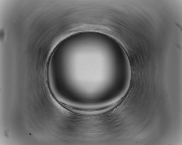 X0000098211531200804241309