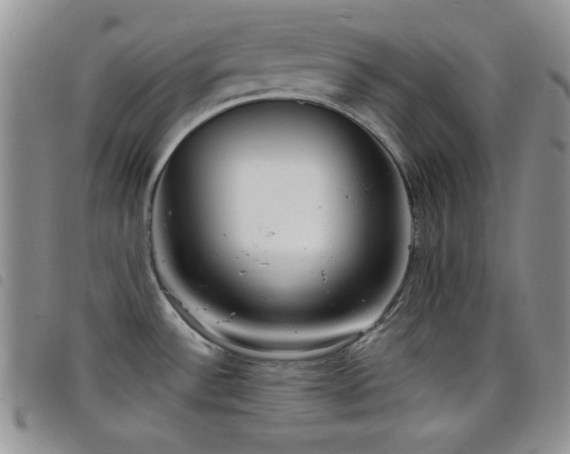 X0000098211532200804241309