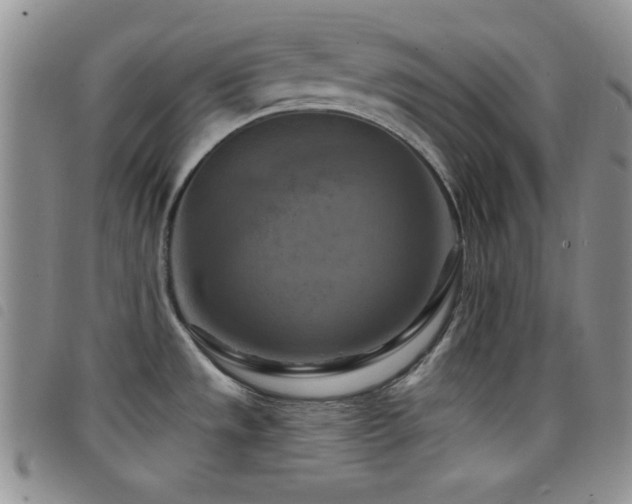 X0000098211533200804241309