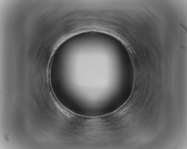 X0000098211535200804241309