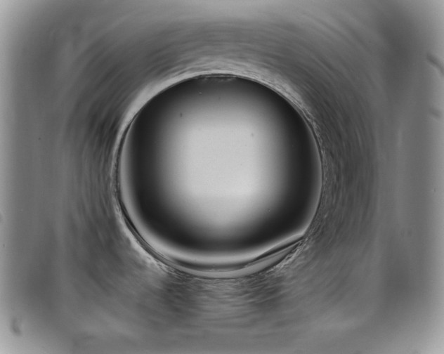 X0000098211536200804241309