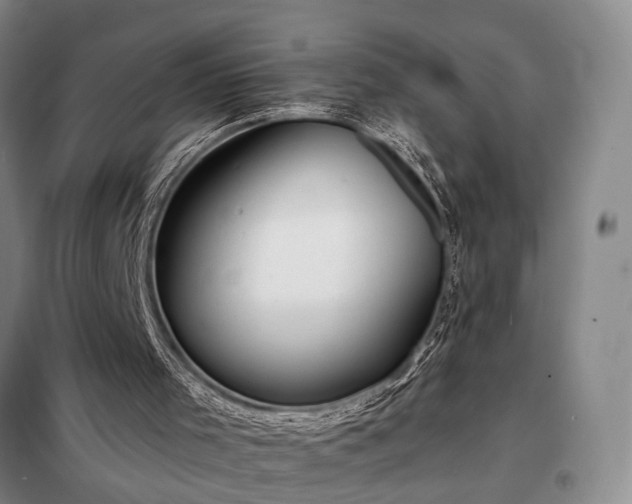 X0000098210001200805011221
