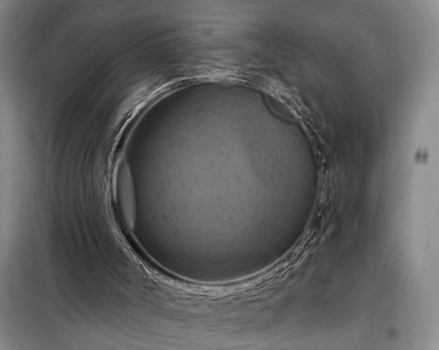 X0000098210002200805011221