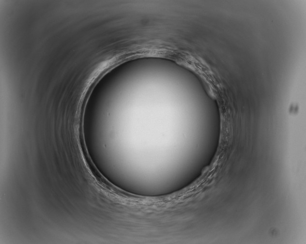 X0000098210003200805011221